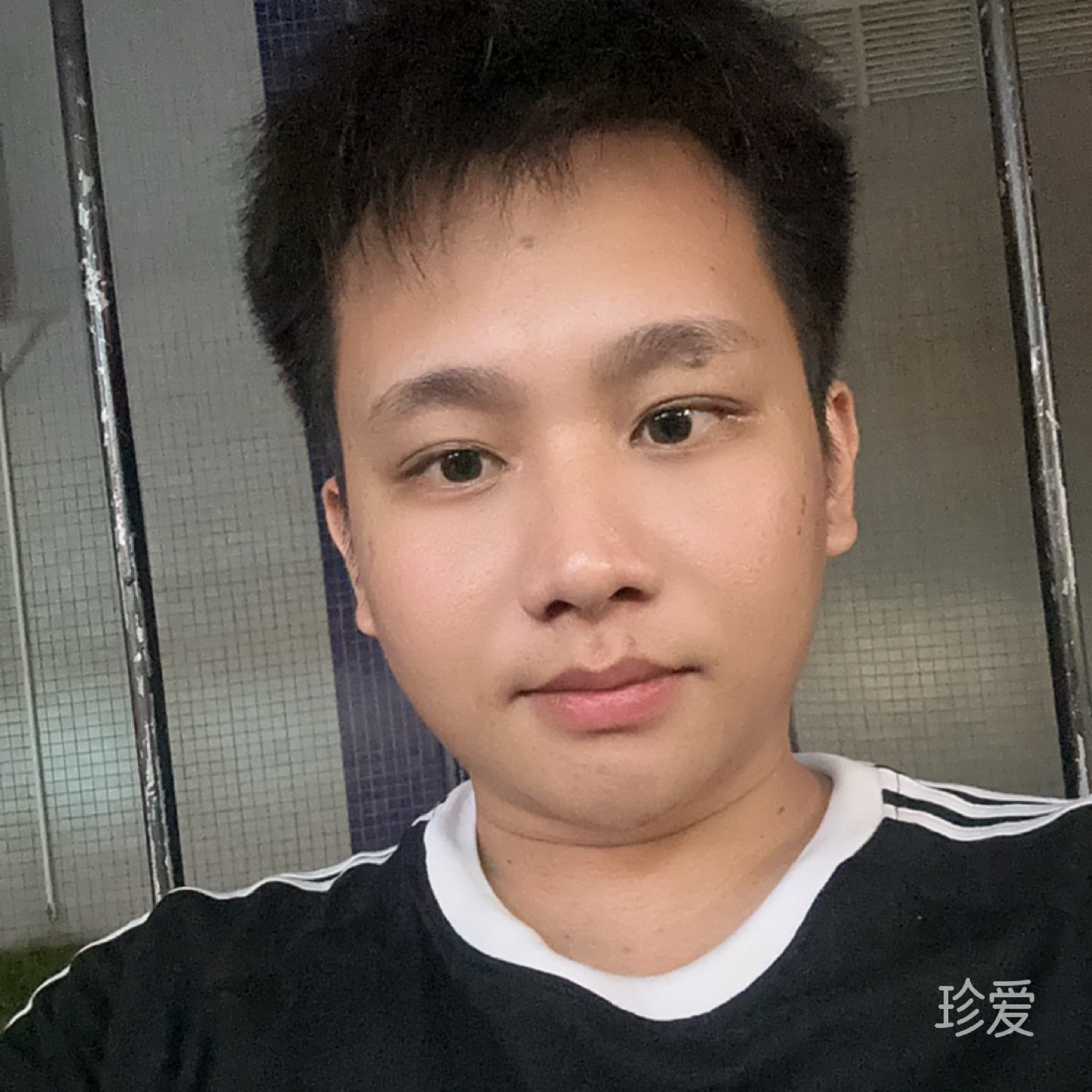 只要天籁开得快