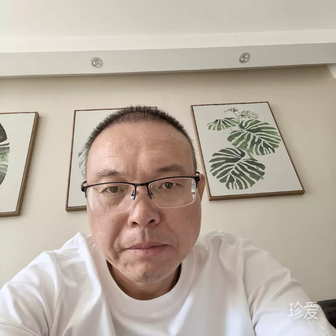 再见理想