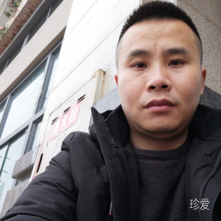 翱翔