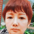 可愛的小貓