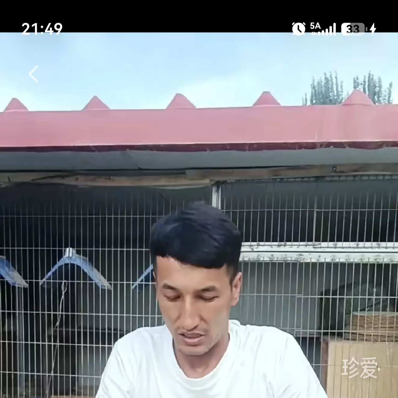 雨念