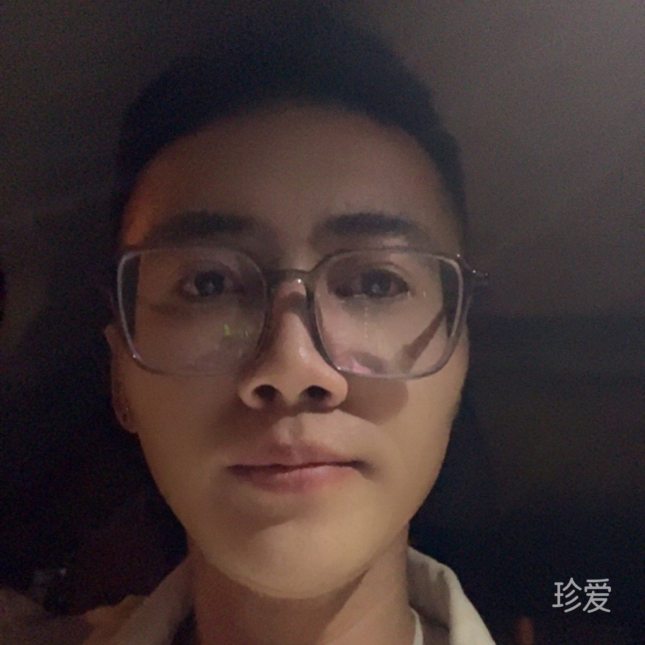 在人间凑数的日子