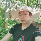 癮