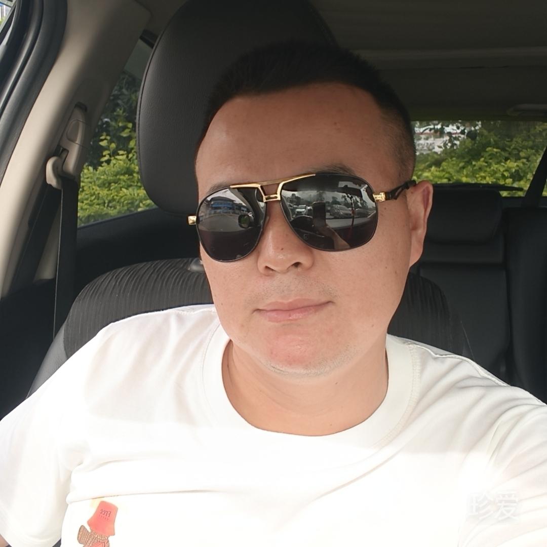 自由的风
