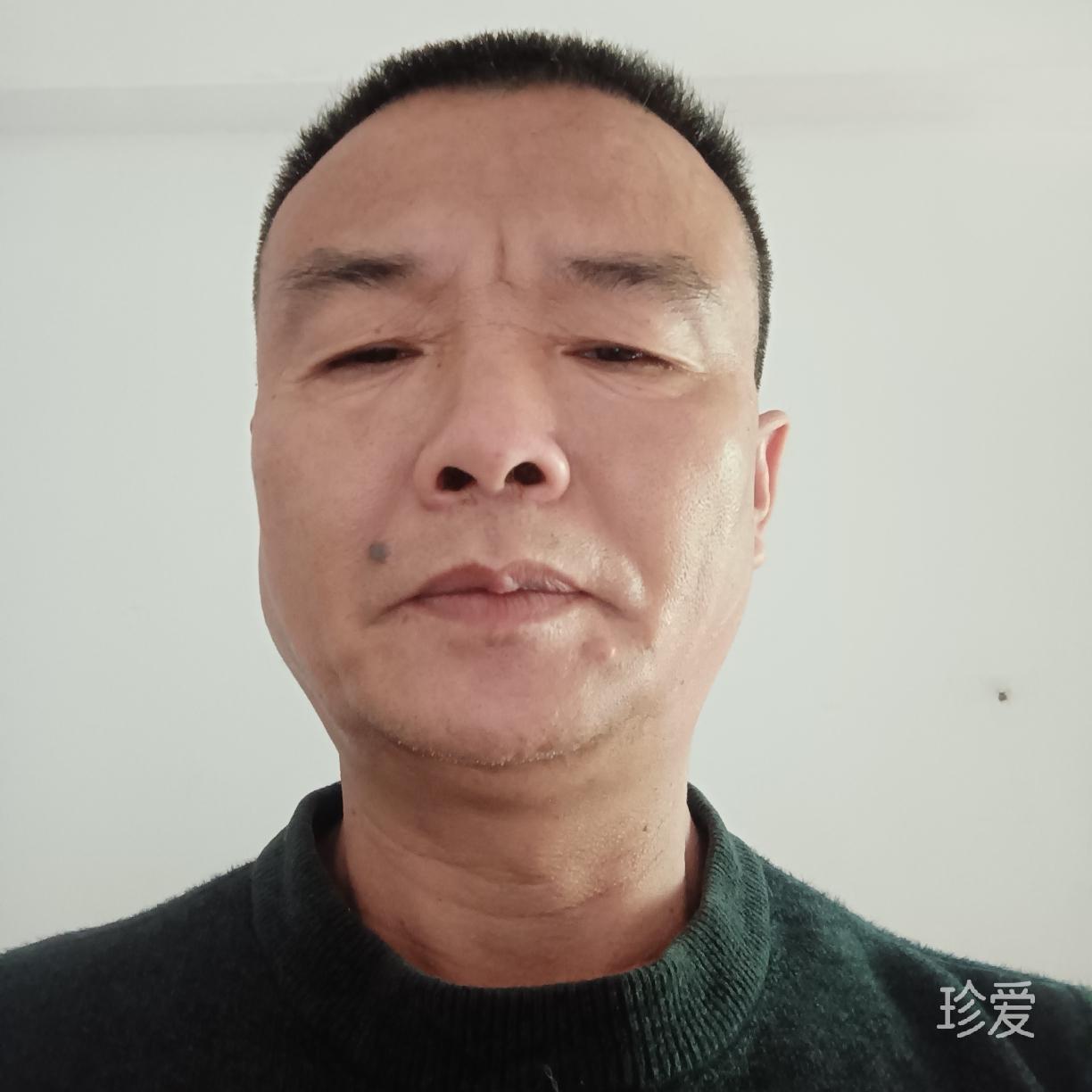 龙七