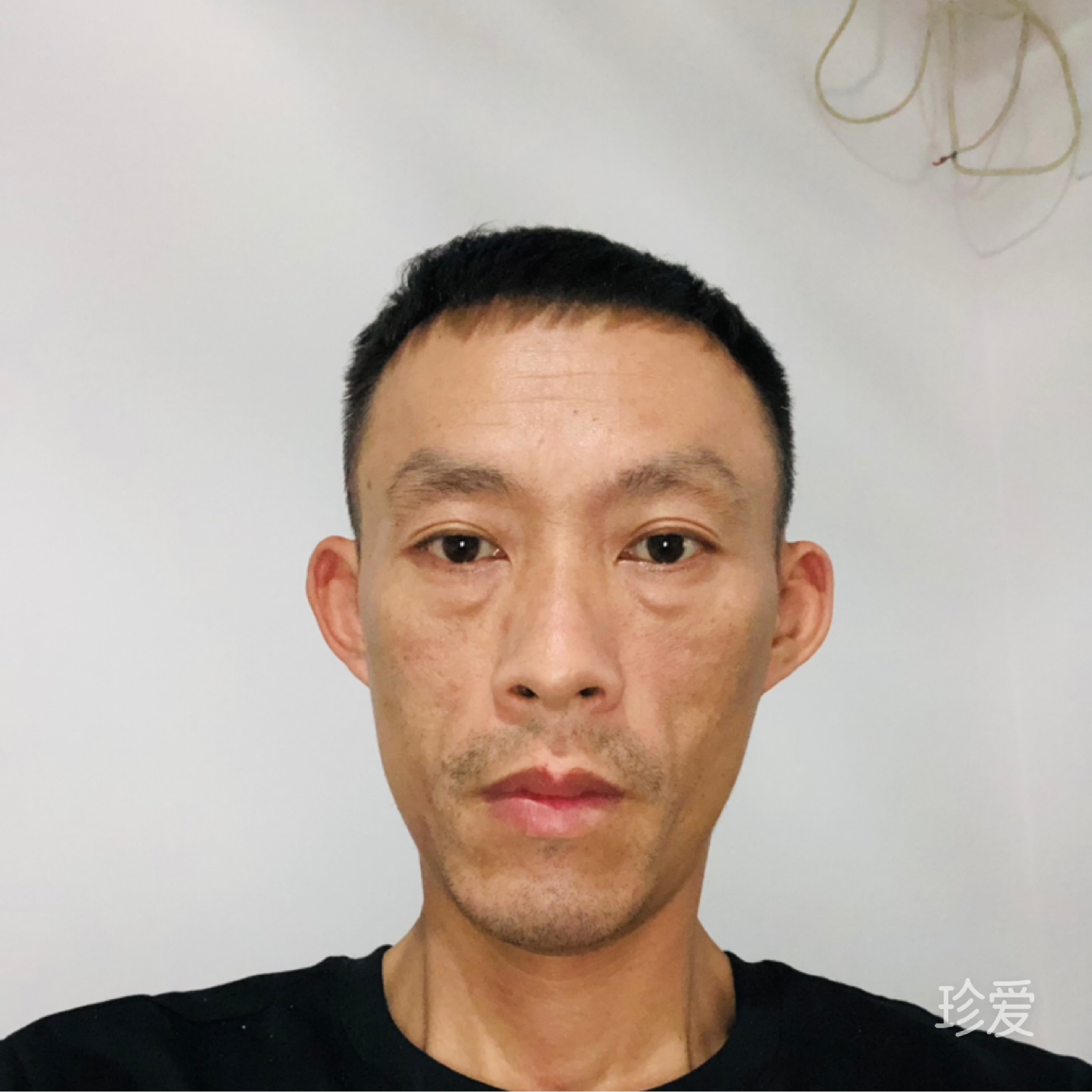真成相带