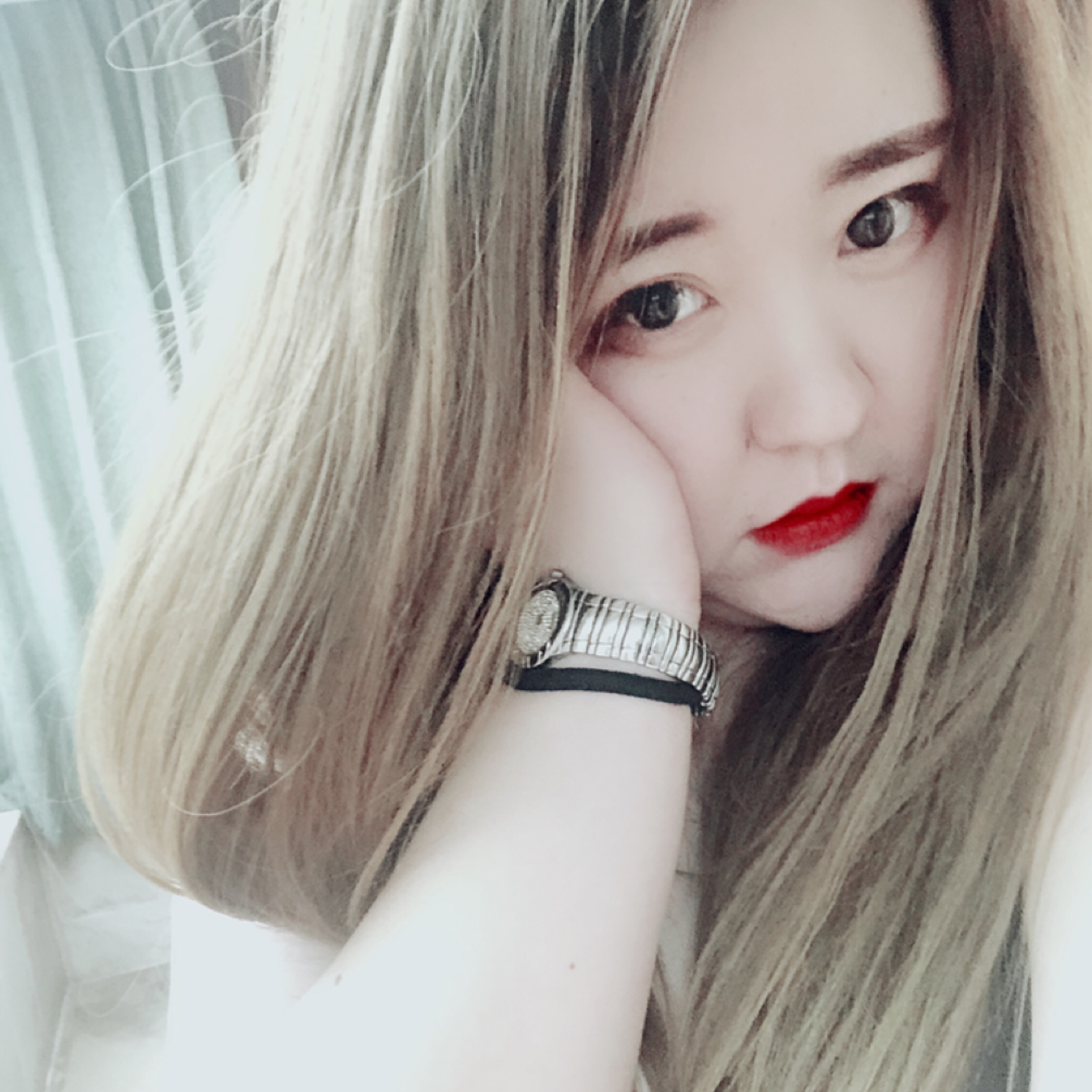 永不放弃的候鸟