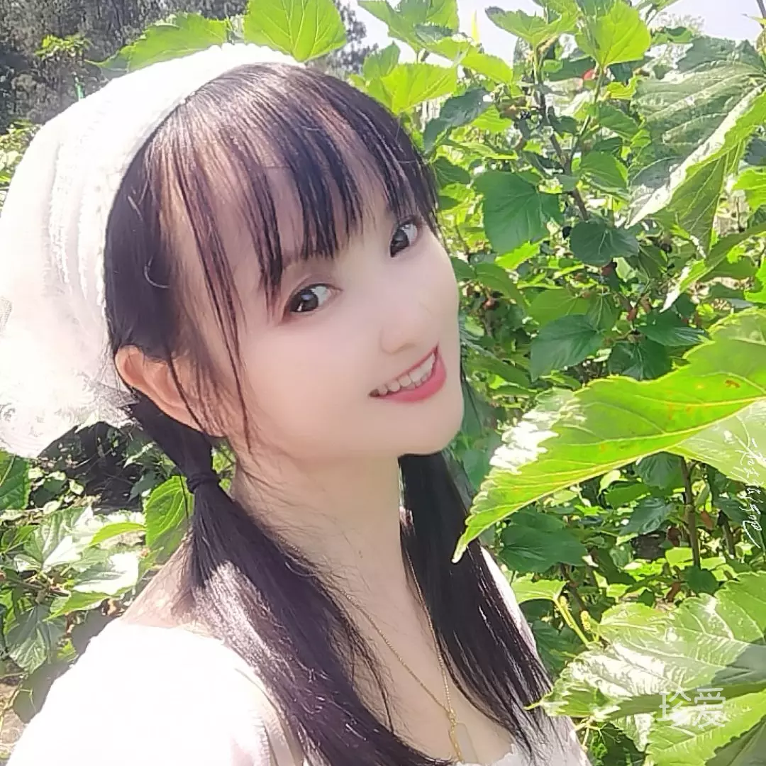 天使之颜