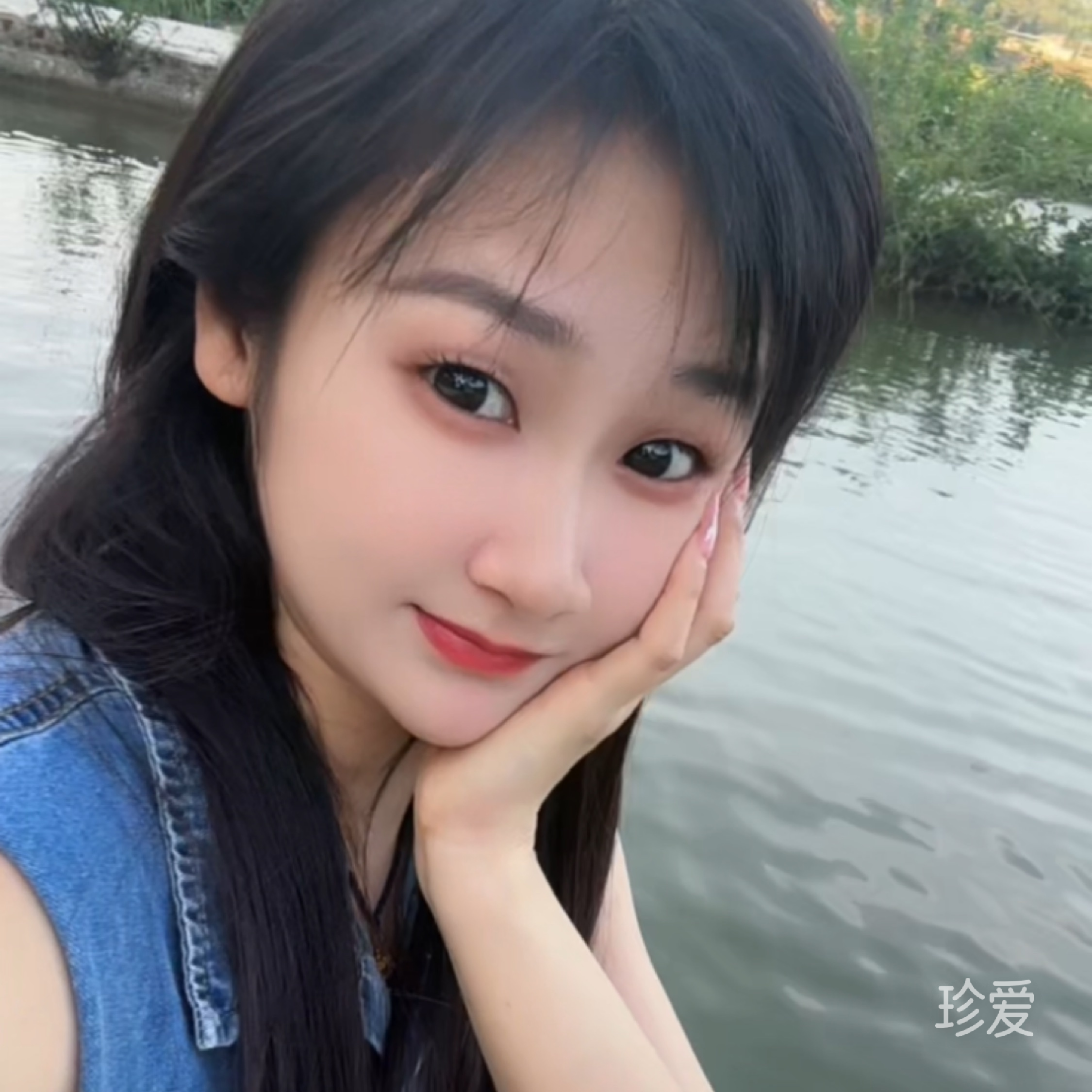萌萌小猪