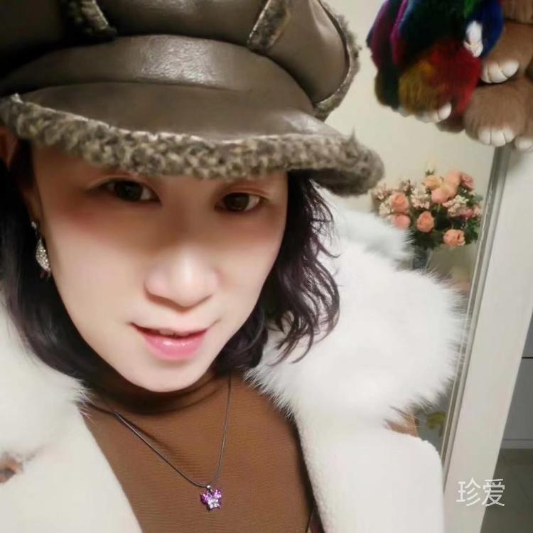 人生若只如初見