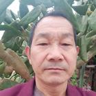 帥老頭子