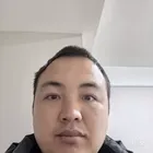 沁水游木