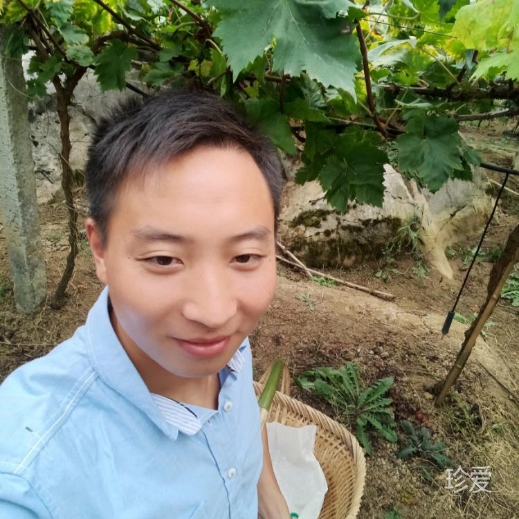 一人獨自在大洋洲