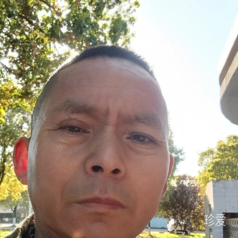 小楼听风雨