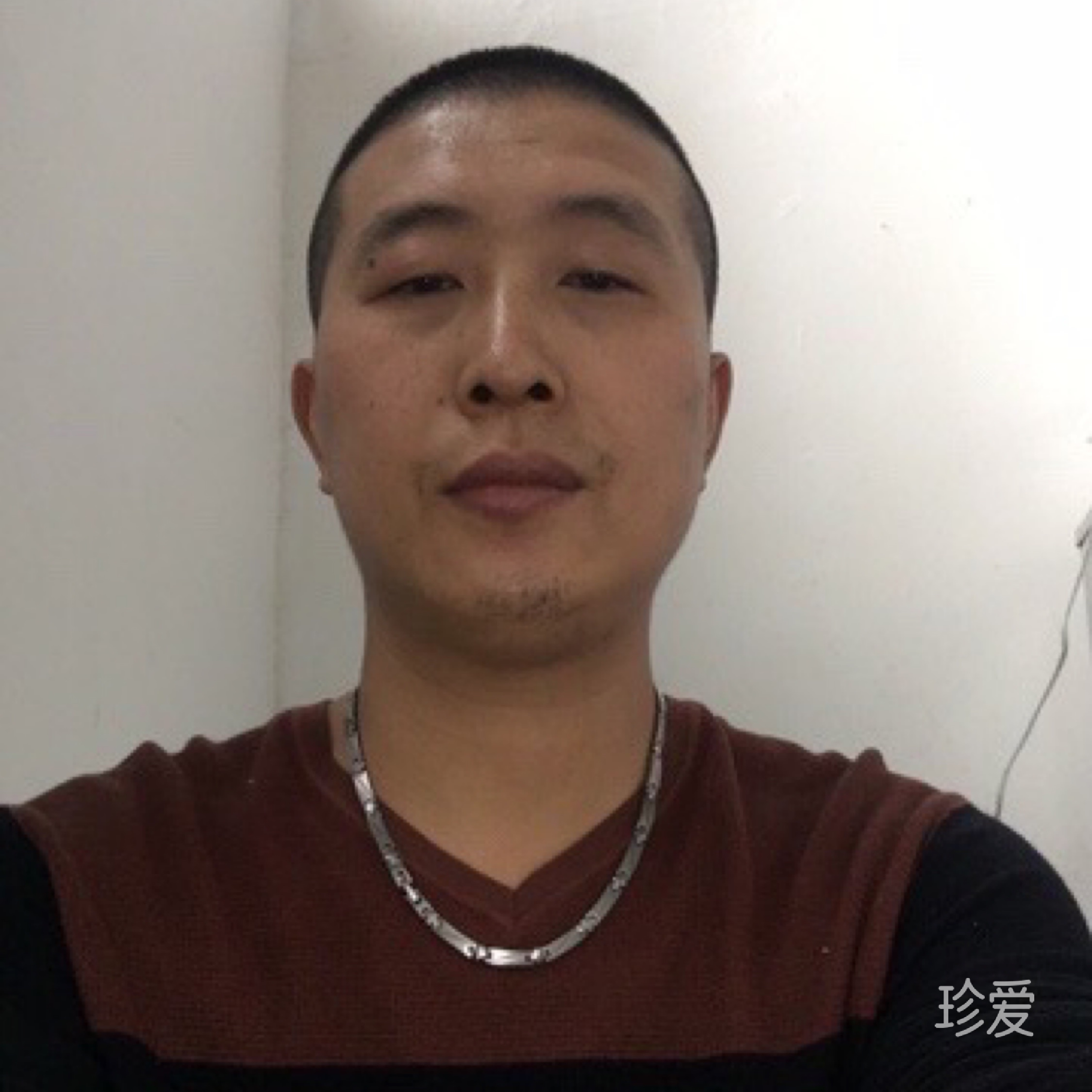 和你一起飞翔