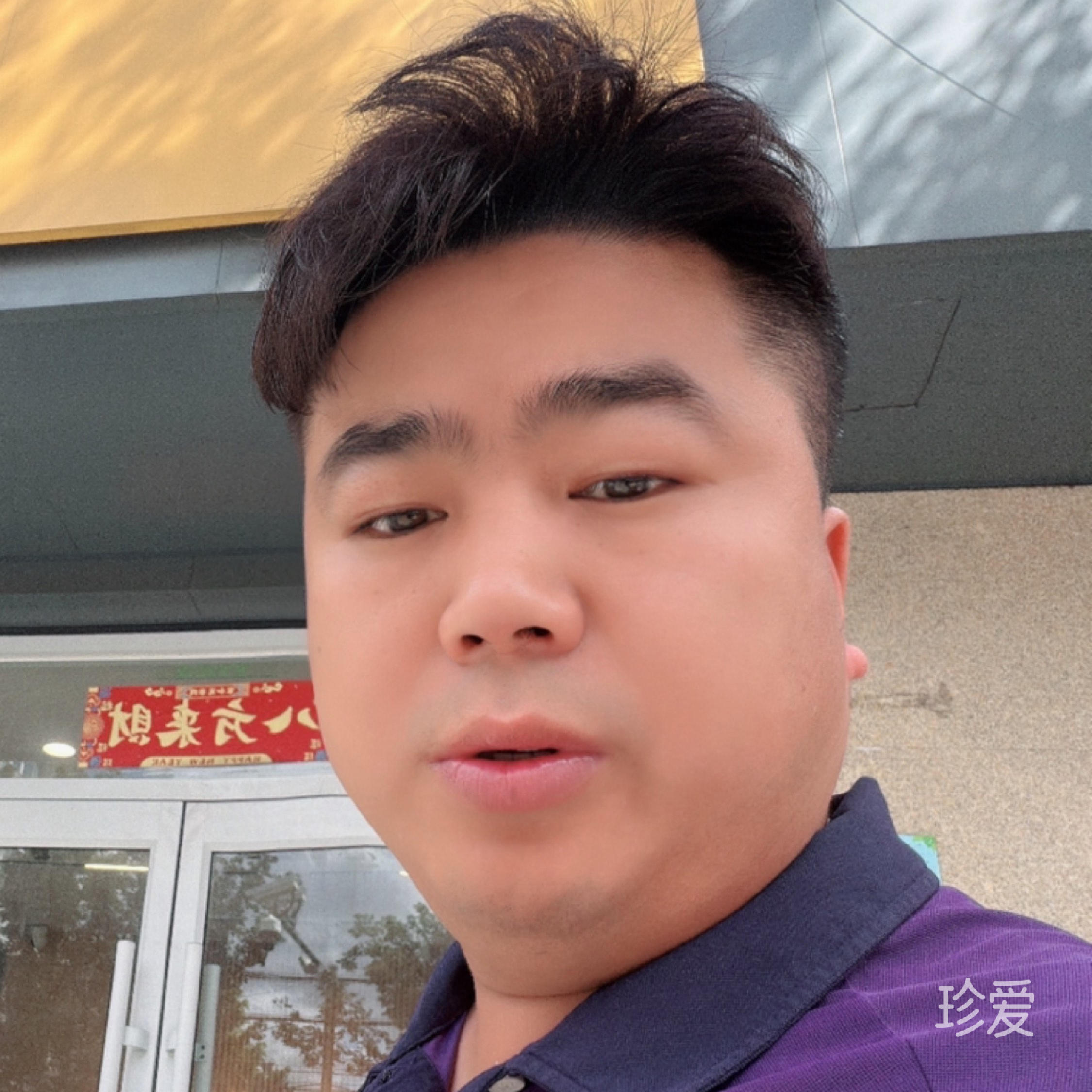 会上树的猫