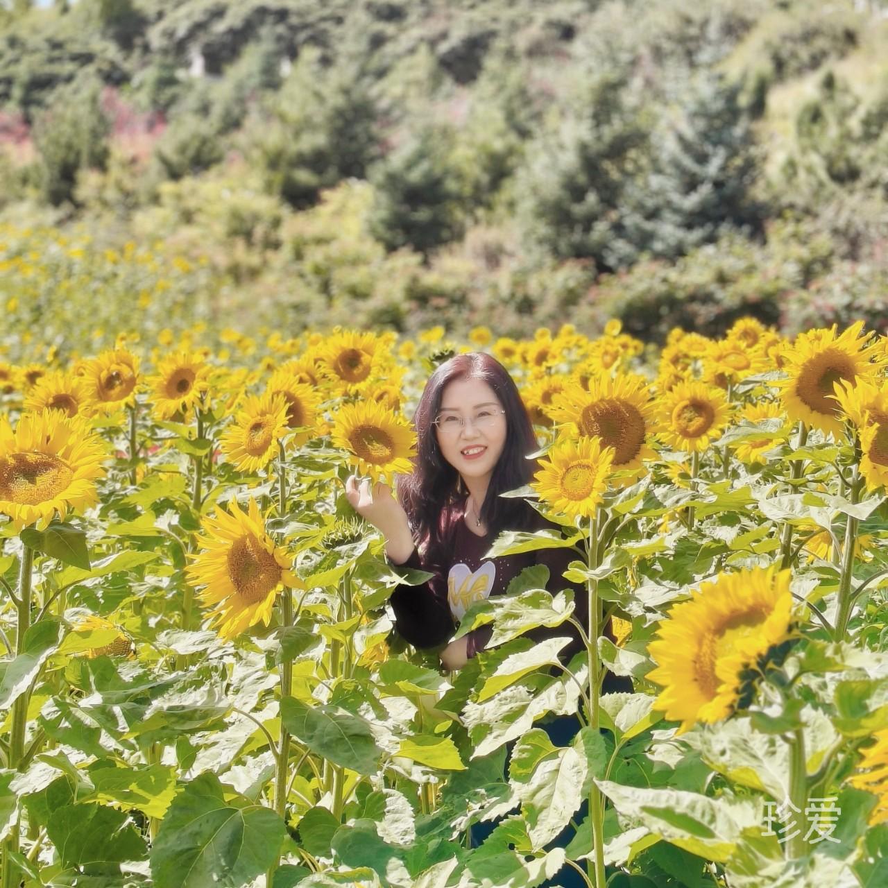 我爱晒太阳