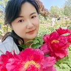 美好的未來(lái)