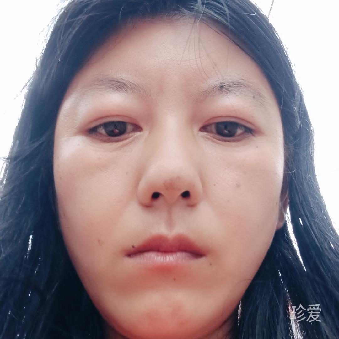 人生若只如初见