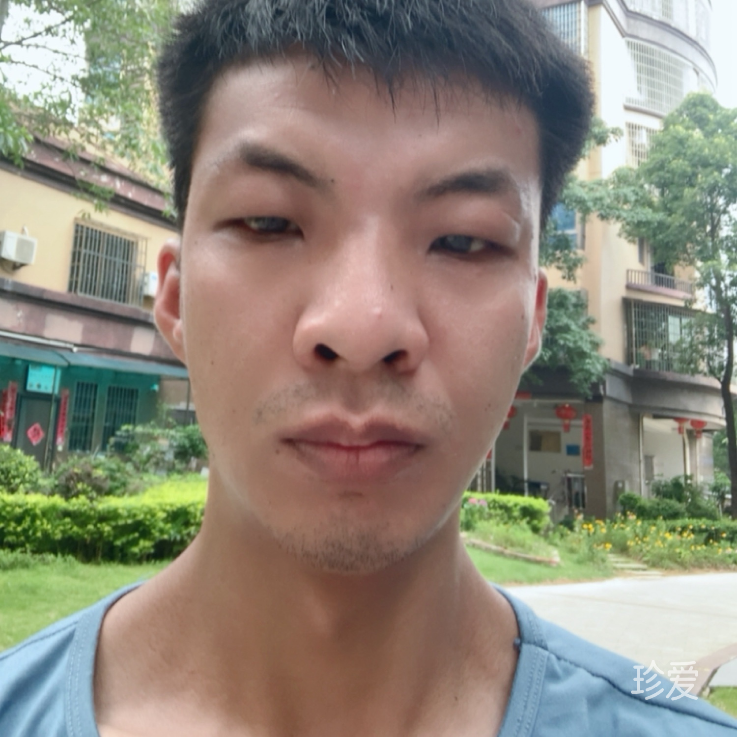 清风无眠