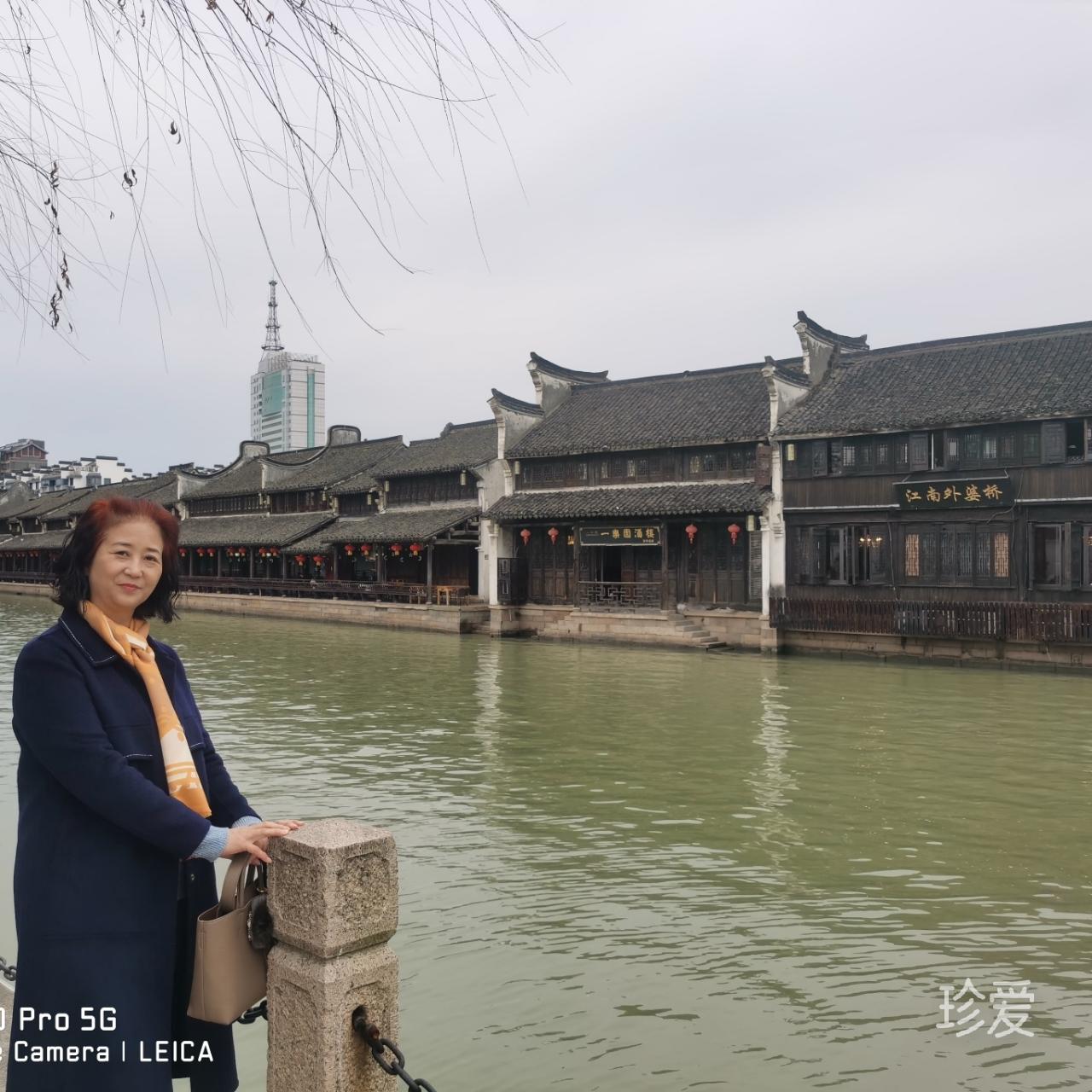 螢火蟲夜的星光