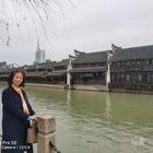 螢火蟲夜的星光