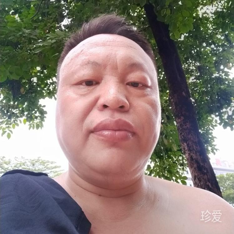 陽光溫暖你的心