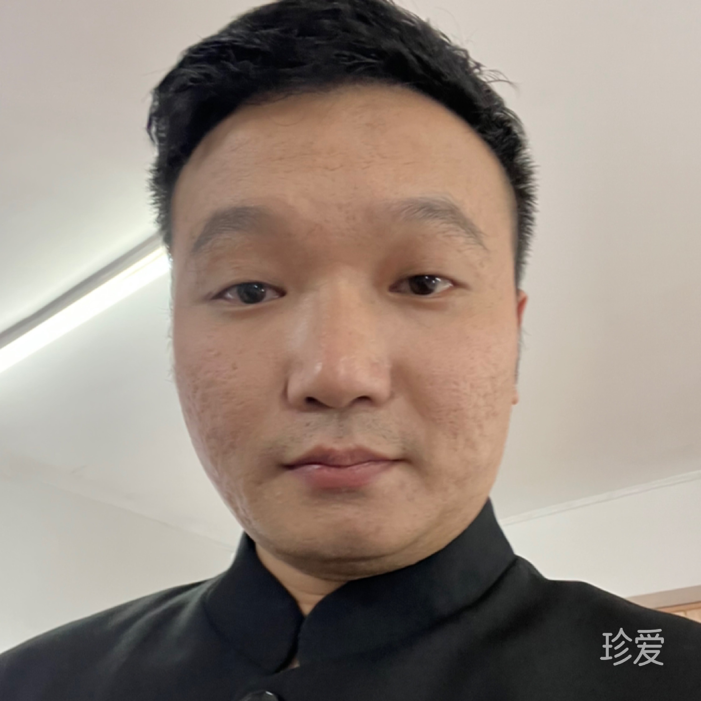 冬天的树