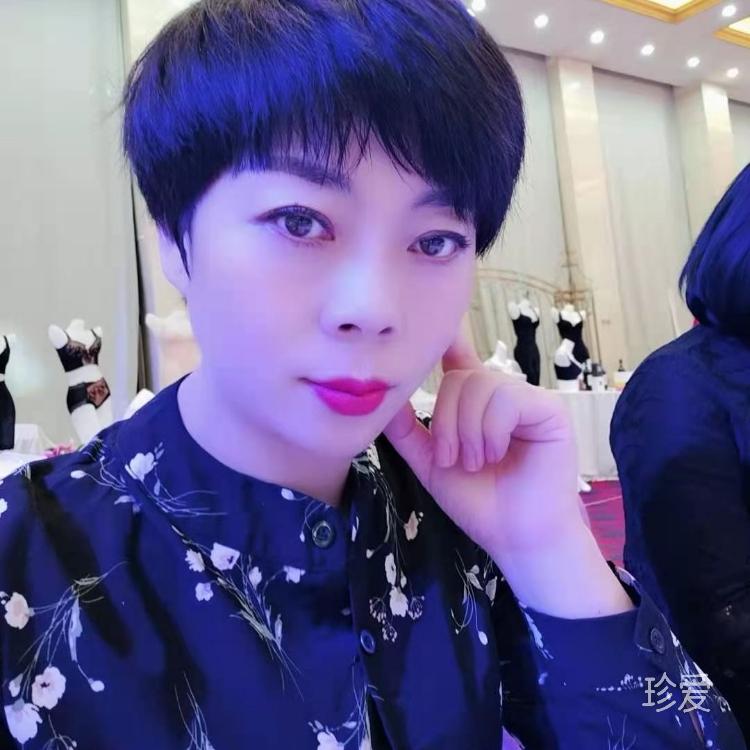 梧桐樹下的羽翼