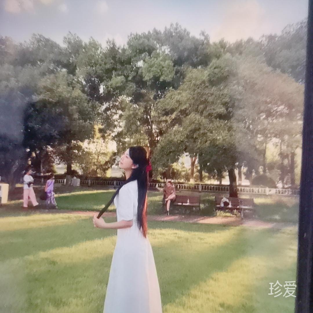 小妮子