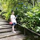 一個(gè)人旅行