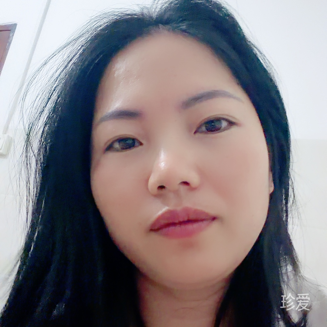 淡淡的歌