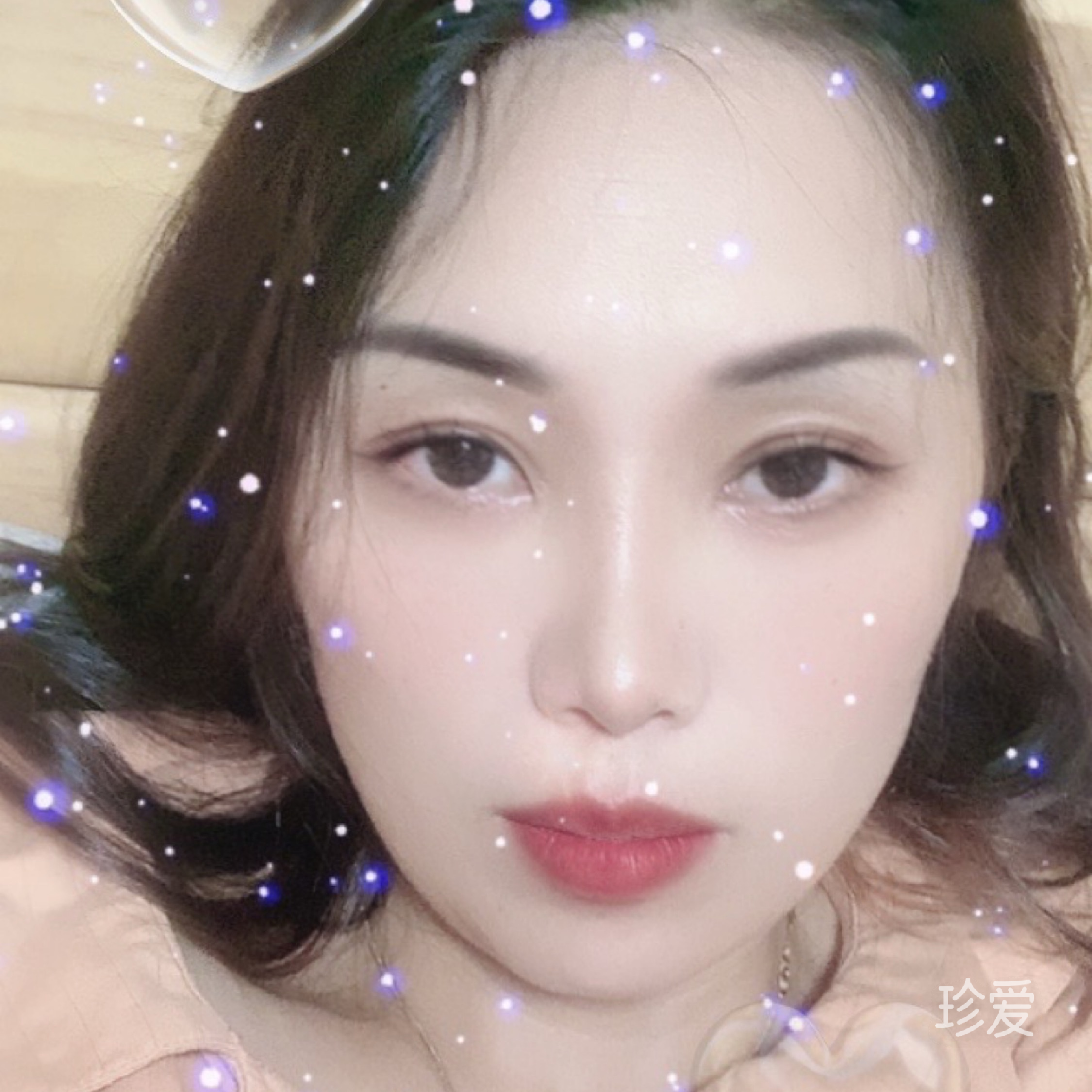 风雅玫瑰花