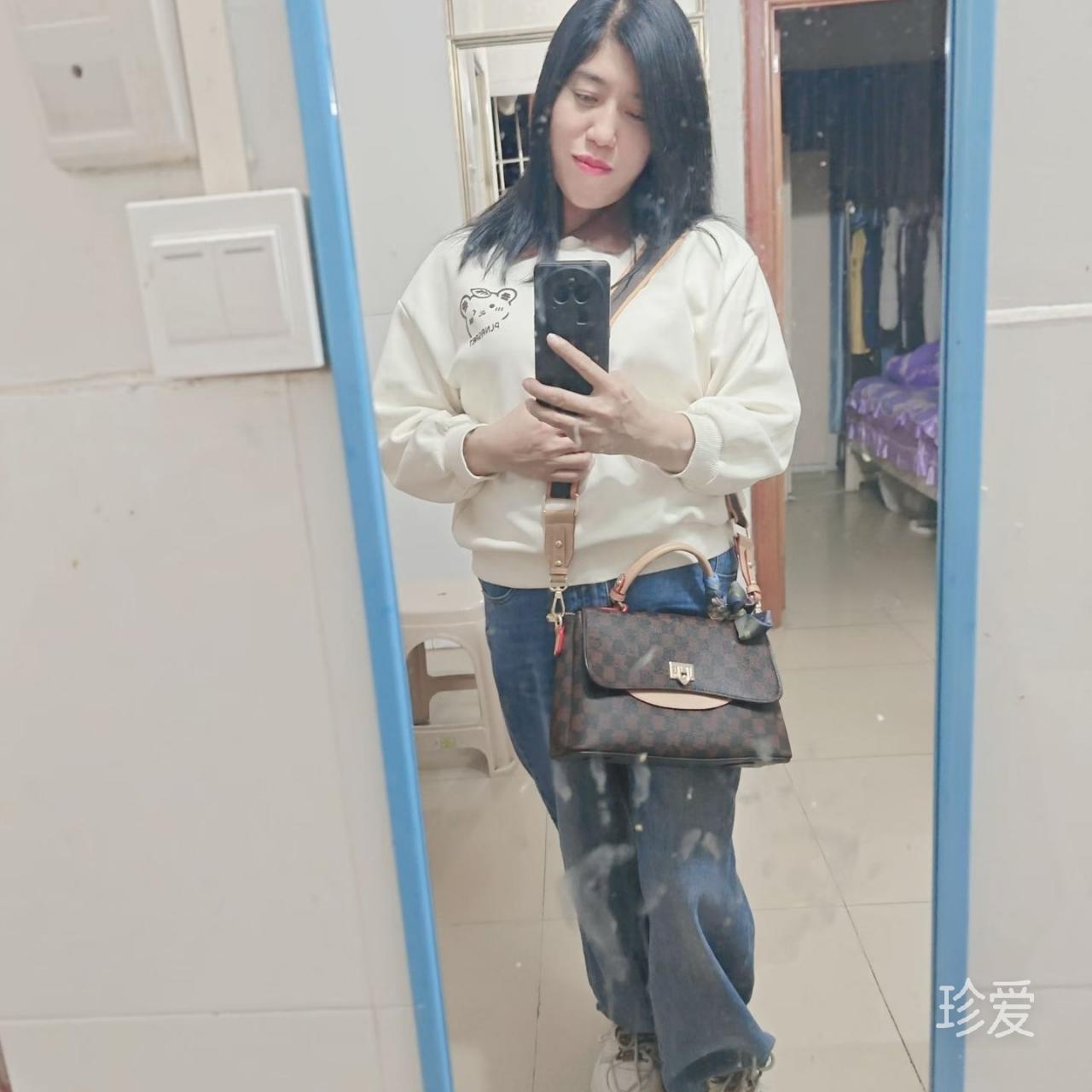 飞翔的梦