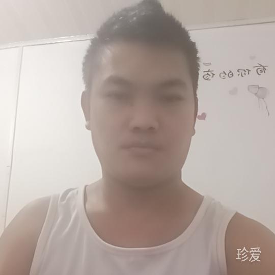 做我怀中猫