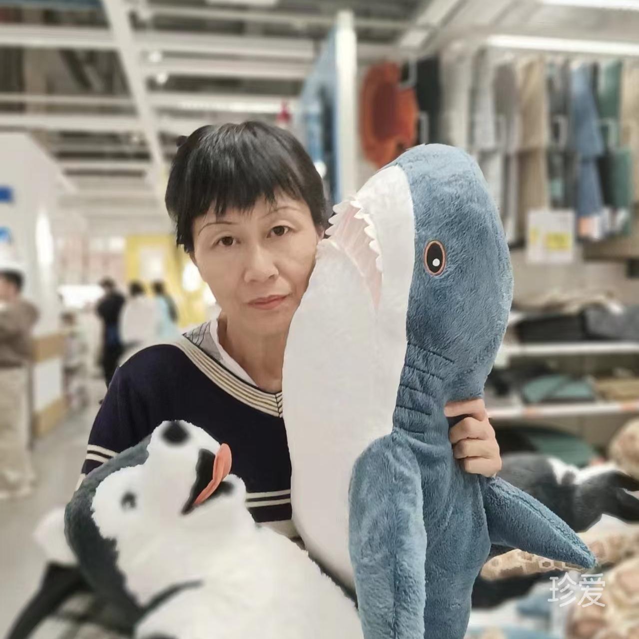 向聪红财喜