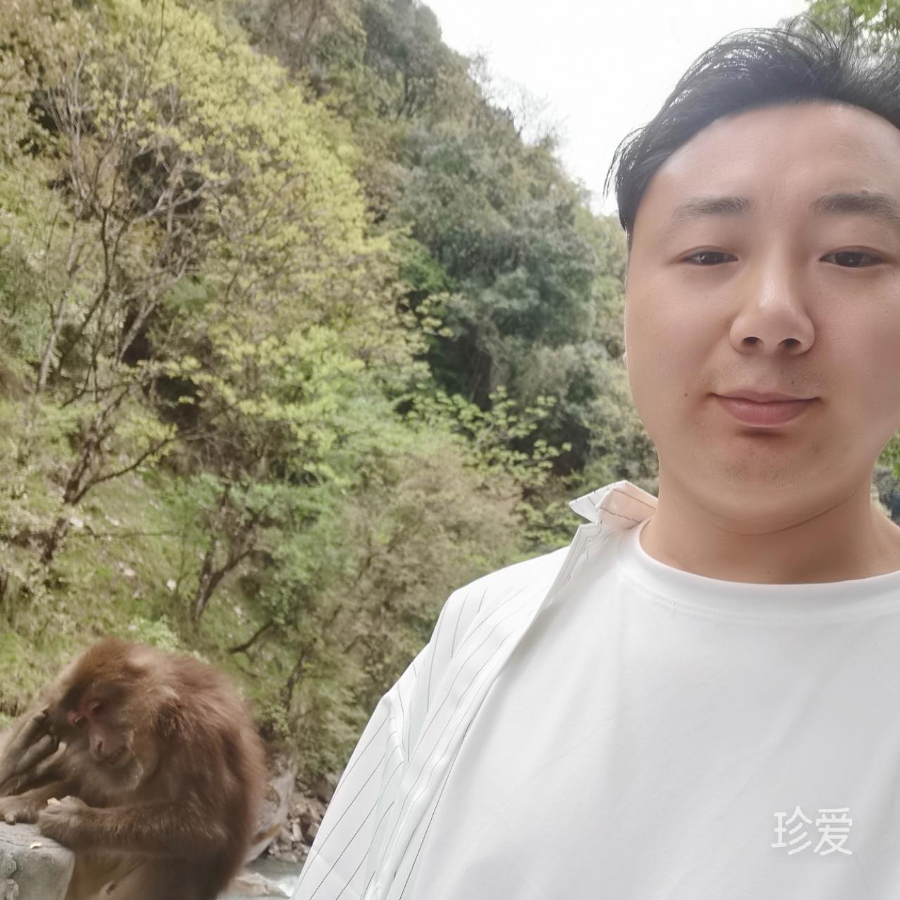 少年多梦不多情