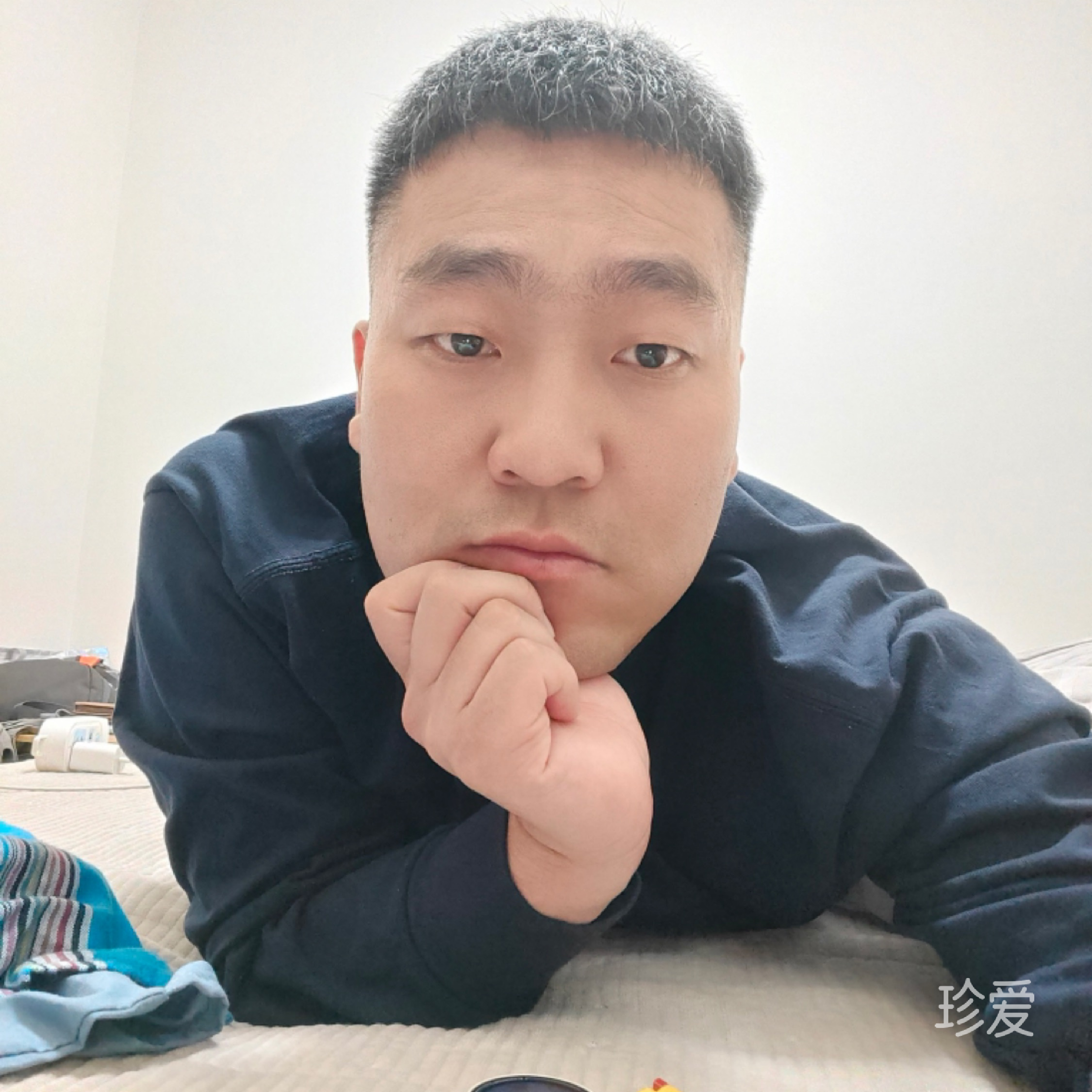 杨少