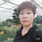 愛(ài)的半夢(mèng)