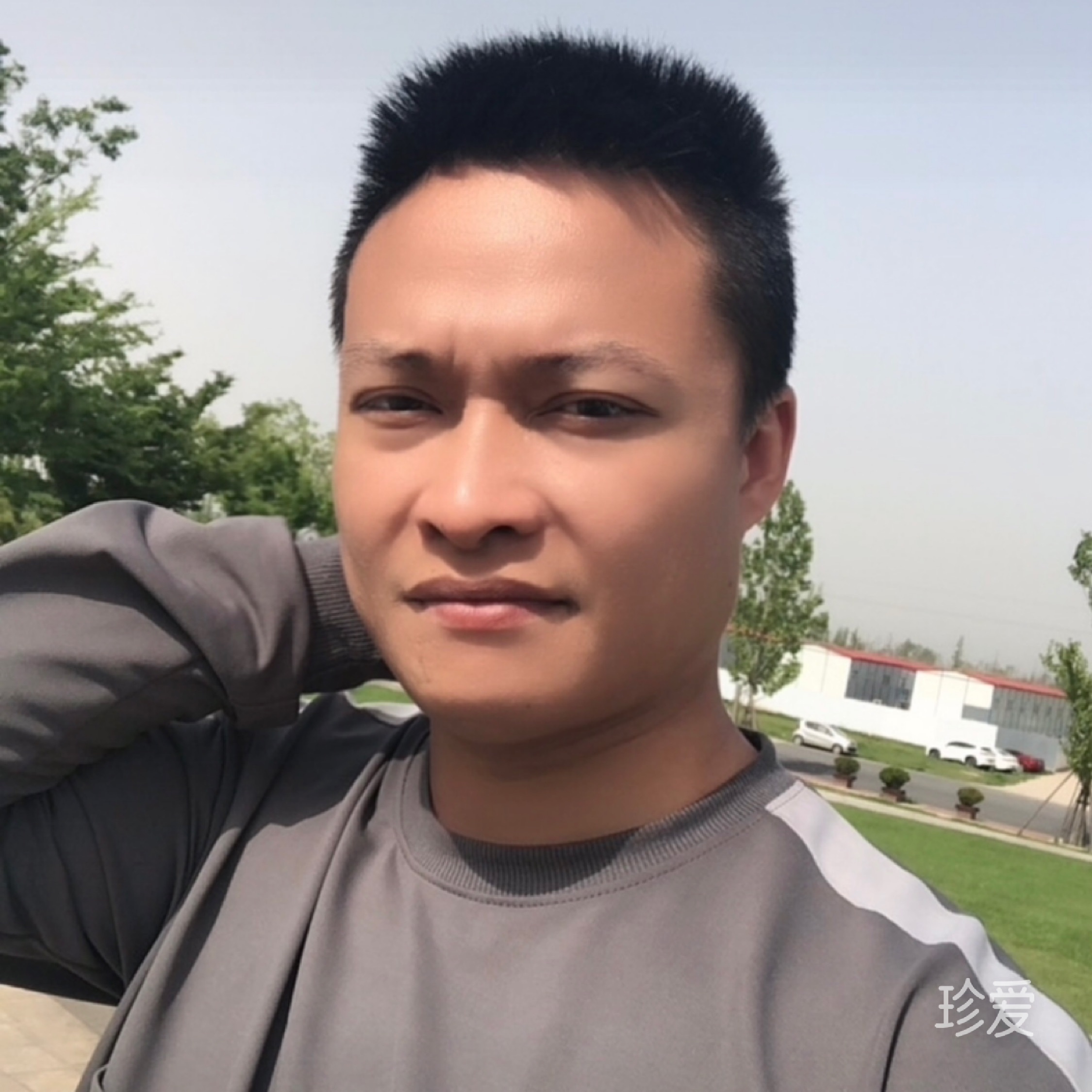 一只单身的二哈