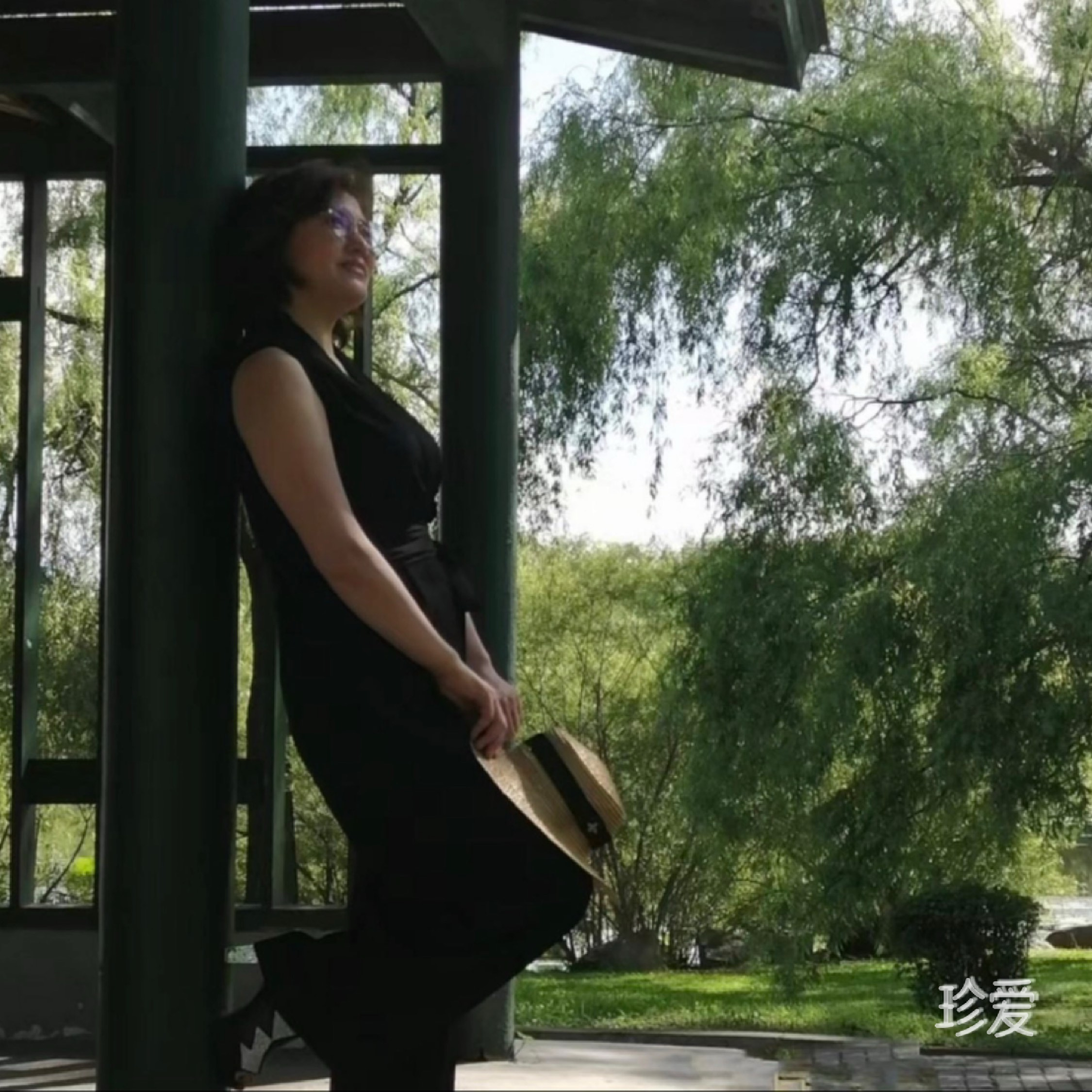 薰衣草1413