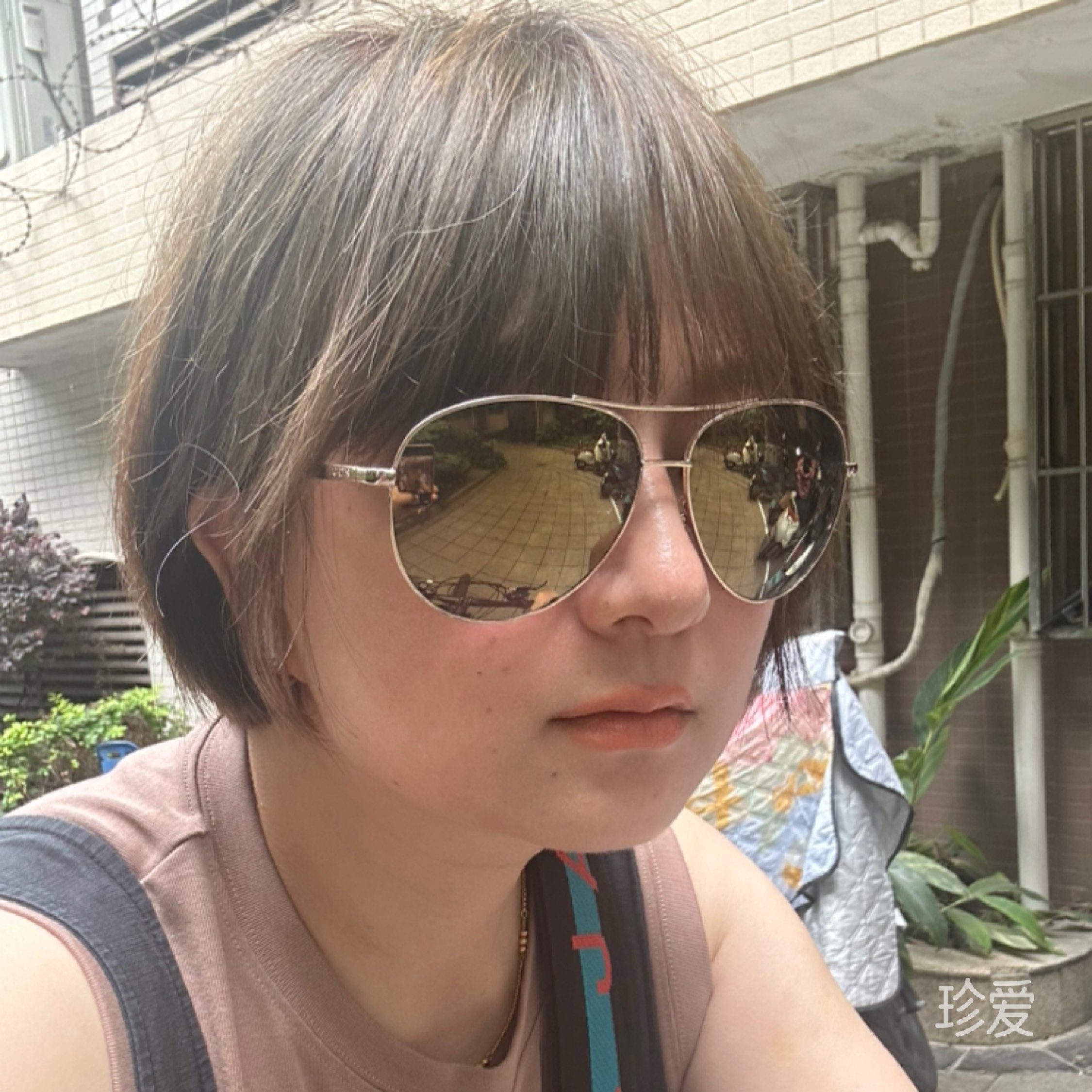 蔡菜