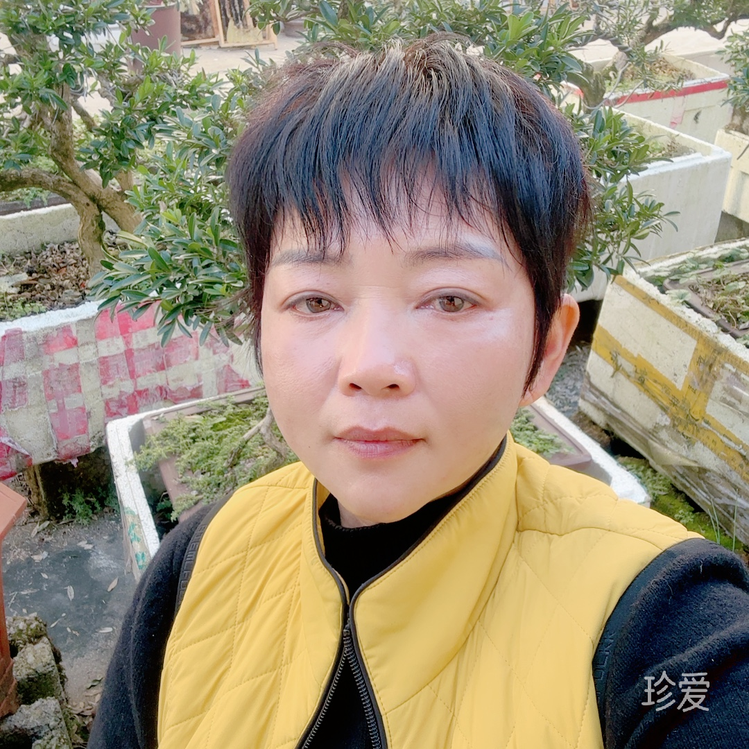 丟了幸福的笨豬