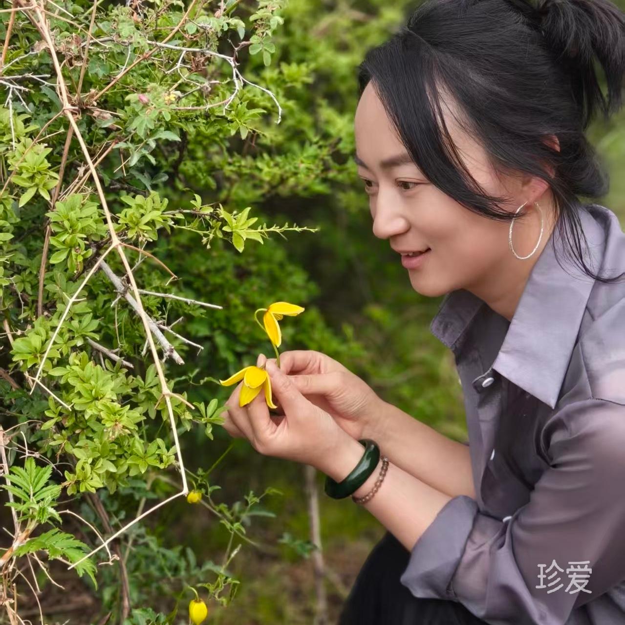 诚悦