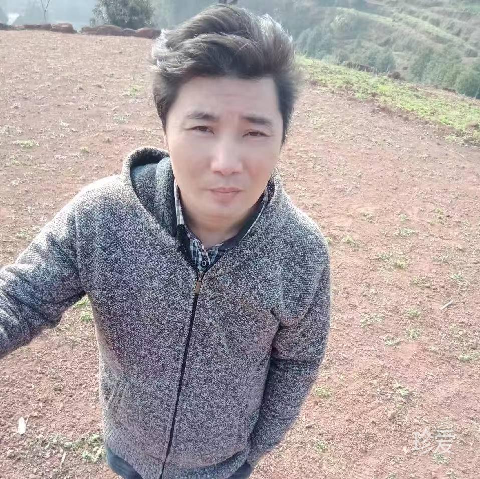 真心等待