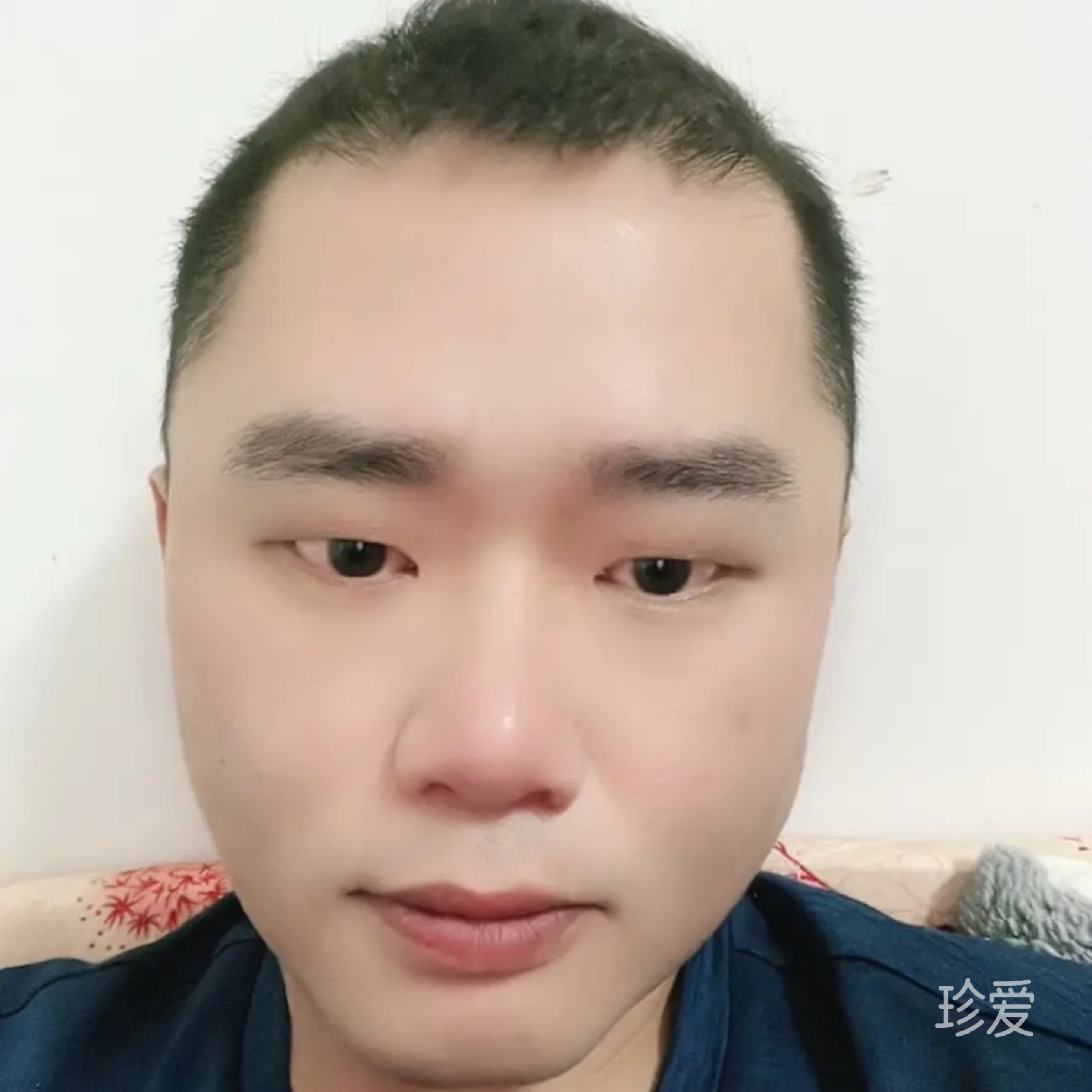 不为什么