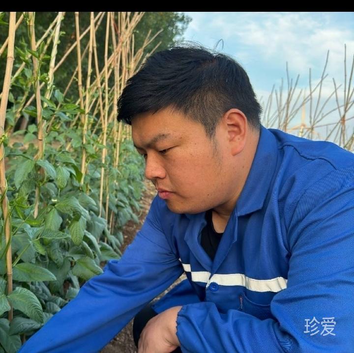 久伴一生