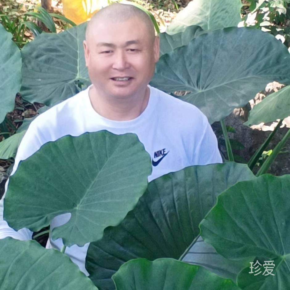 木头