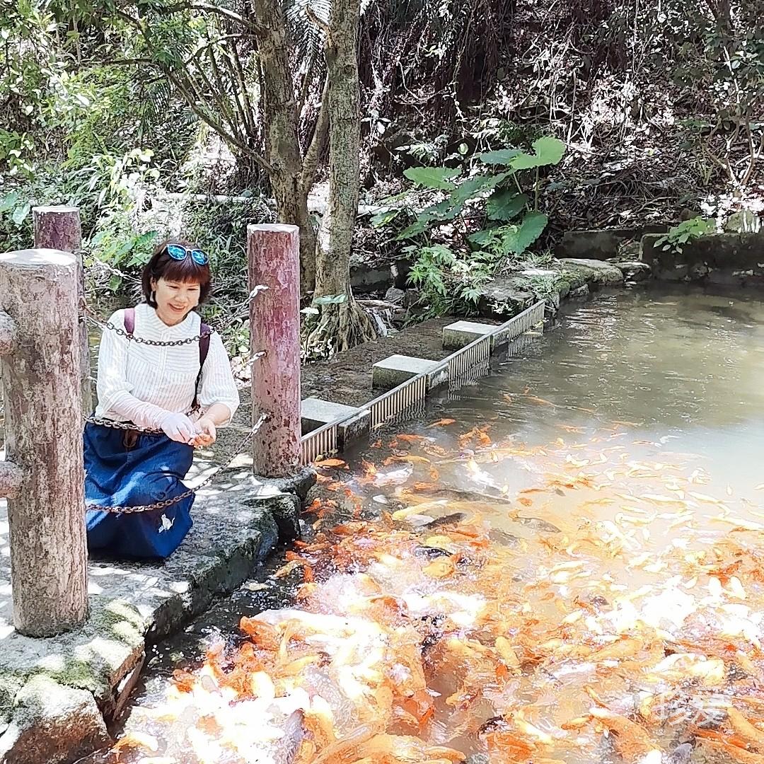 相遇的那天