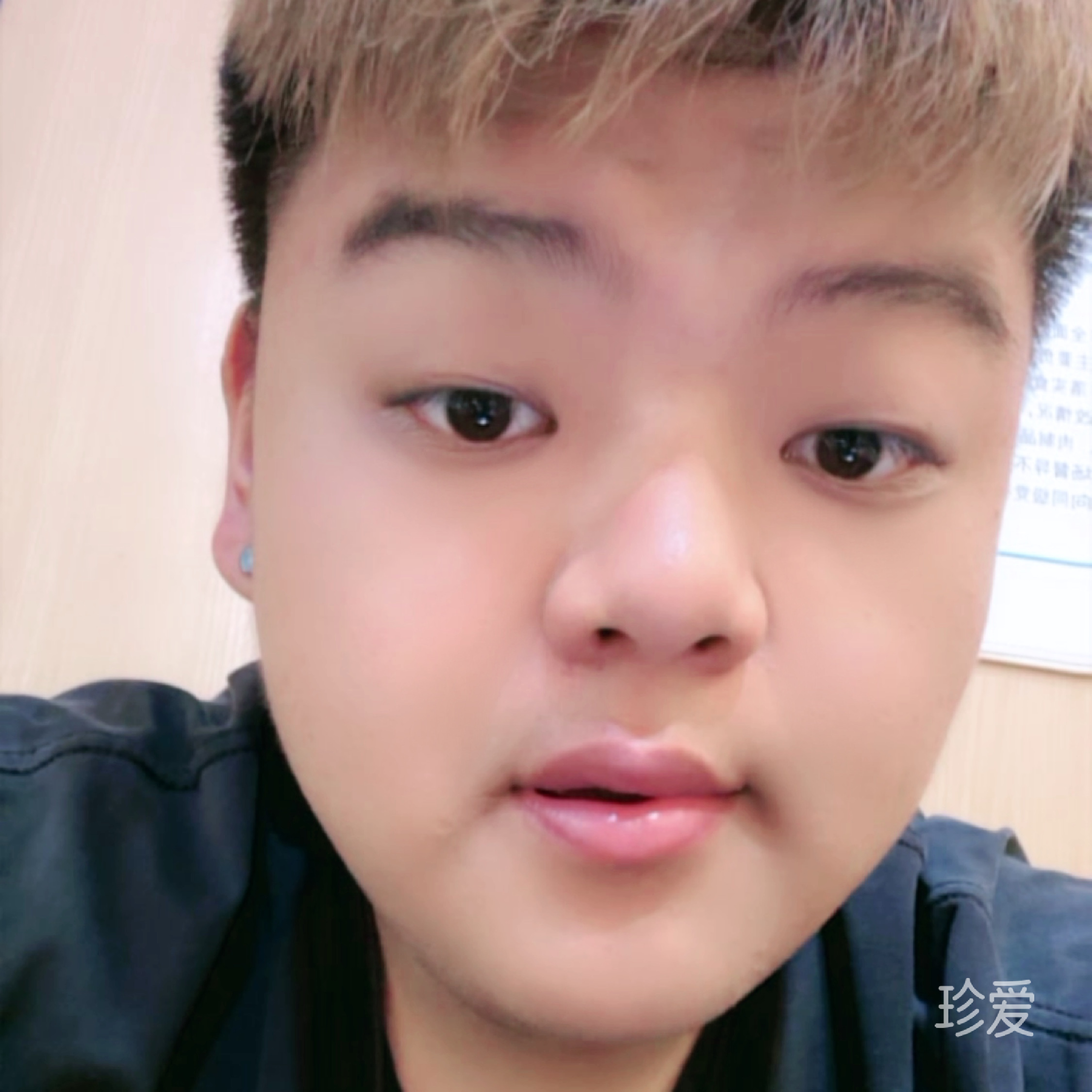 呆呆